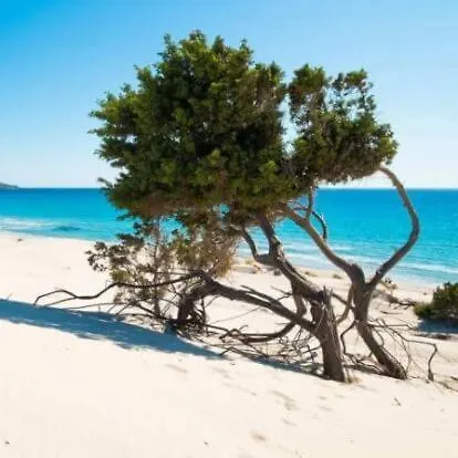 Hideaway Haven