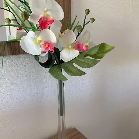 Couette-café Hideaway Haven SantʼAnna Arresi