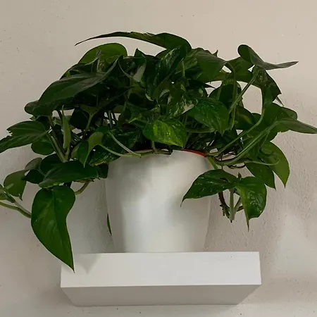 Bed and Breakfast Hideaway Haven